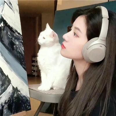婚迷指数:5